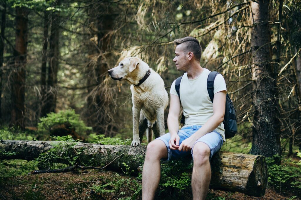 Tourist with dog in forest